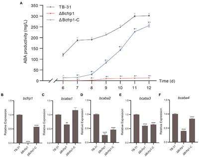 Combined transcriptome and proteome analysis of Bcfrp1 involved in regulating the biosynthesis of abscisic acid and growth in Botrytis cinerea TB-31